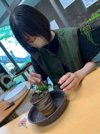 多肉植物寄せ植え体験3