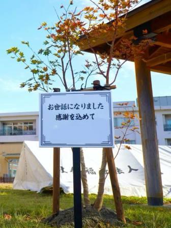 第三光が丘ハウス　植樹式5