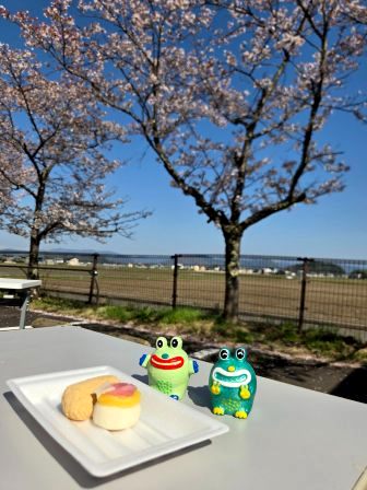 ライトワークセンターでお花見を行いました4