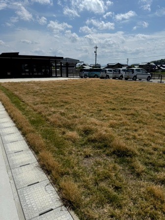 光が丘ワークセンターにて、新しい環境で初めての芝刈りを行いました4