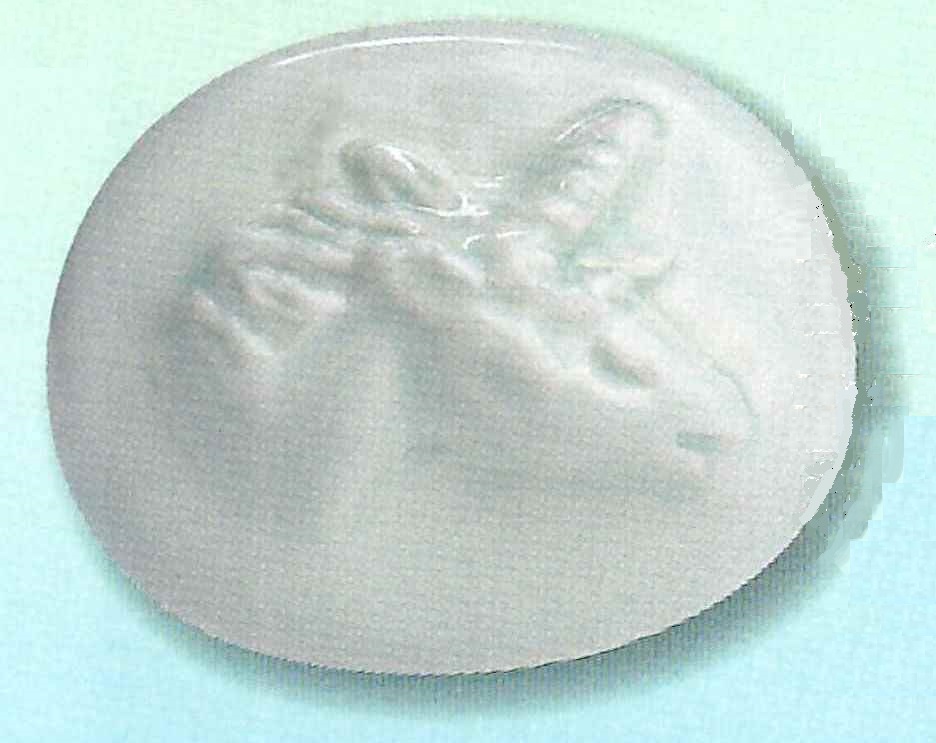 Ｄ　マグネット